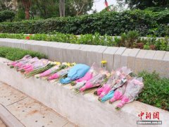 繁花伴逝者，绿色传思念：花坛葬集中安放仪式在广州举行